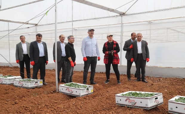 BAŞKAN KUŞ, SERA KENTİMİZDE FİDELERİ TOPRAKLA BULUŞTURDUK