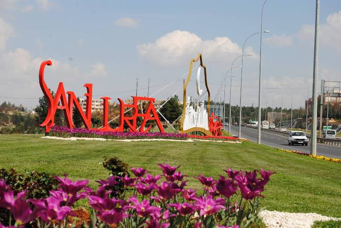 Bu Ağaçlar Şanlıurfa Topraklarıyla İlk Kez Buluşuyor