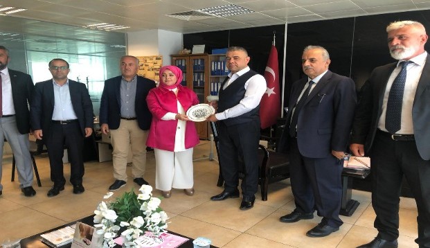 Gelecek Partisi, Anadolu Turunda