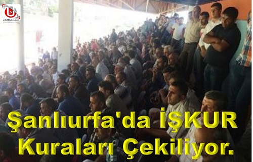 Şanlıurfa'da İŞKUR Kuraları Çekiliyor.