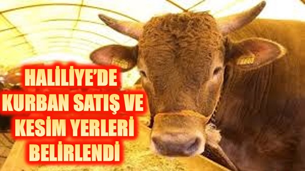 HALİLİYEDE KURBAN KESİM VE SATIŞ YERLERİ BELİRLENDİ