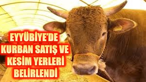 EYYÜBİYEDE KURBAN KESİM VE SATIŞ YERLERİ BELİRLENDİ