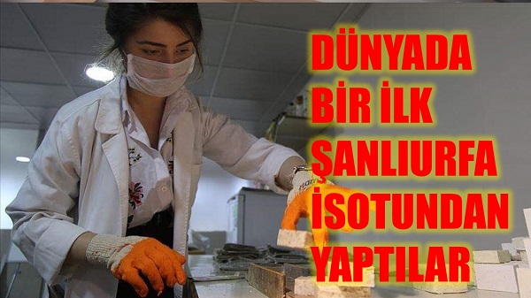 DÜNYADA BİR İLK ŞANLIURFA İSOTUNDAN YAPTILAR