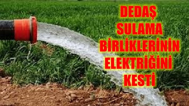 DEDAŞ SULAMA BİRLİKLERİNİN ELEKTRİĞİNİ KESTİ