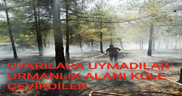 UYARILARA UYMADILAR ORMANLIK ALANI KÜLE ÇEVİRDİLER