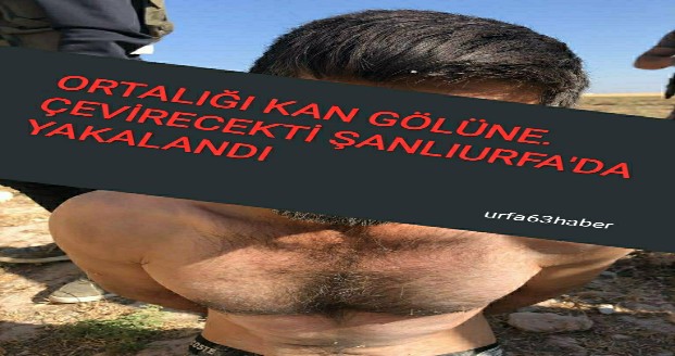 ORTALIĞI KAN GÖLÜNE ÇEVİRECEKTİ ŞANLIURFA'DA YAKALANDI