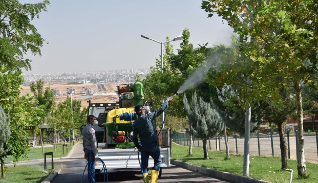 Millet bahçesi ilaçlandı