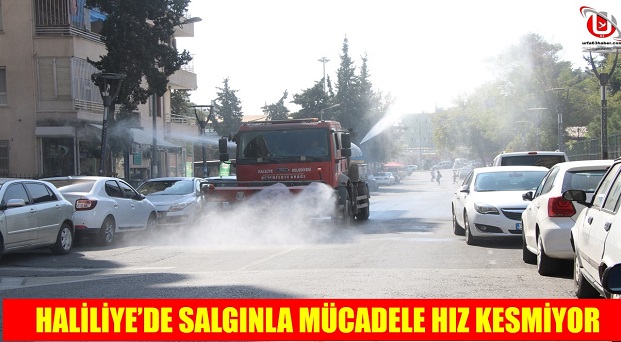 HALİLİYEDE SALGINLA MÜCADELE HIZ KESMİYOR