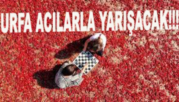 URFA ACILARLA YARIŞACAK!!!