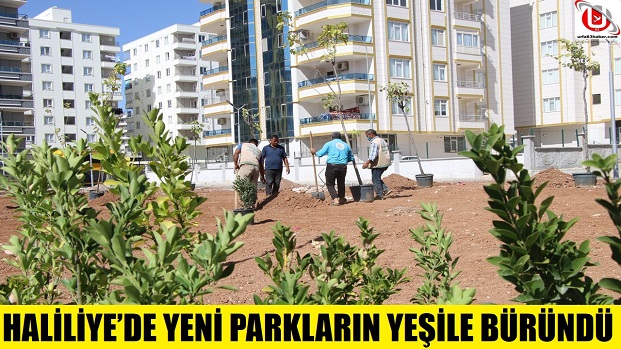 HALİLİYEDE YENİ PARKLARIN YEŞİLE BÜRÜNDÜ