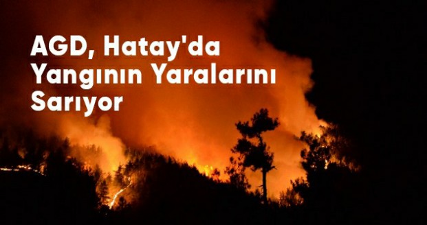 AGD, HATAYDA YANGININ YARALARINI SARIYOR