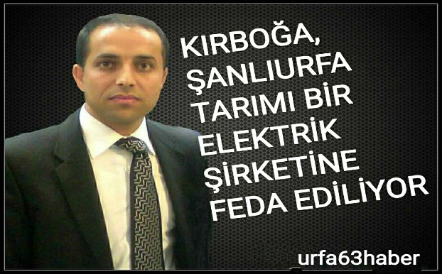 KIRBOĞA, ŞANLIURFA TARIMI BİR ELEKTRİK ŞİRKETİNE FEDA EDİLİYOR