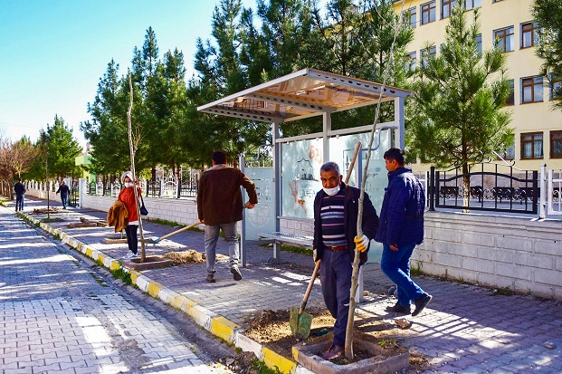 DAHA YEŞİL BİR CEYLANPINAR İÇİN 35 BİN FİDAN TOPRAKLA BULUŞTU