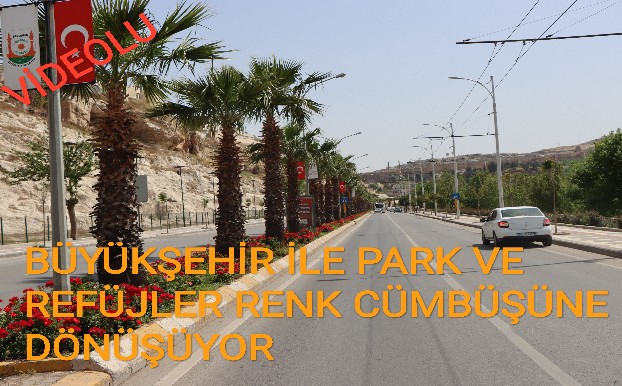 BÜYÜKŞEHİR İLE PARK VE REFÜJLER RENK CÜMBÜŞÜNE DÖNÜŞÜYOR 