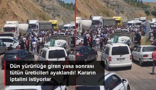 TÜTÜN ÜRETİCİLERİ PROTESTO AMAÇLI! ADIYAMAN-MALATYA YOLUNU TRAFİĞE KAPATTILAR