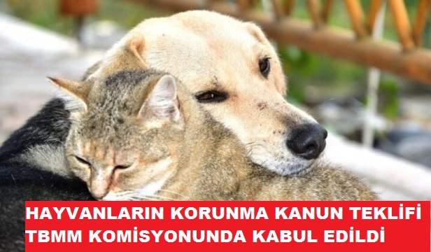 HAYVANLARIN KORUNMA KANUN TEKLİFİ TBMM KOMİSYONUNDA KABUL EDİLDİ