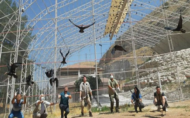 KELAYNAK KUŞLARI ÖZGÜRLÜĞE KANAT ÇIRPTI