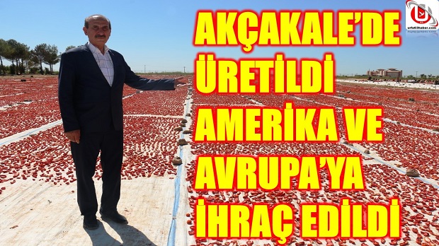 AKÇAKALEDE ÜRETİLDİ AMERİKA VE AVRUPAYA İHRAÇ EDİLDİ