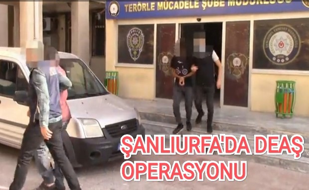 ŞANLIURFA'DA DEAŞ OPERASYONU