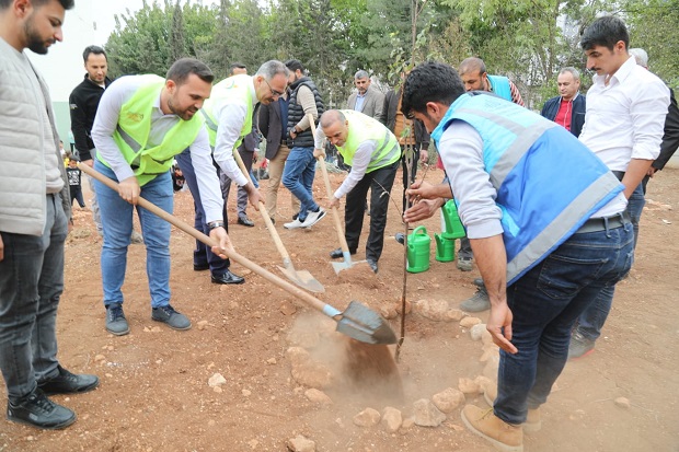 EYYÜBİYEDEKİ OKULLARDA AĞAÇLANDIRMA SEFERBERLİĞİ BAŞLADI.