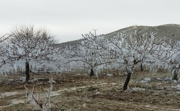 ŞANLIURFA'DA KARTPOSTALLIK GÖRÜNTÜLER OLUŞTU