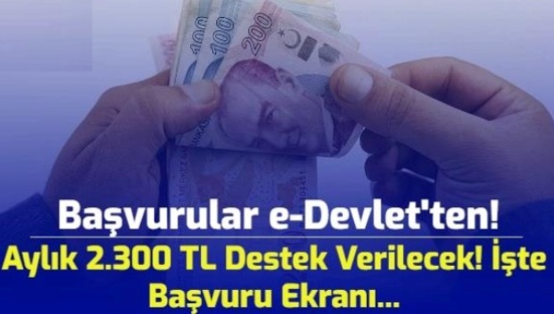 Aylık 2 Bin 300 Lira Destek! Başvurular e-devlet'ten...