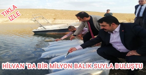 HİLVAN 'DA BİR MİLYON BALIK SUYLA BULUŞTU