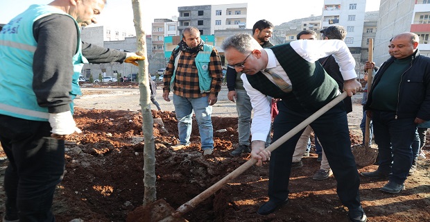 EYYÜBİYE BELEDİYESİ KİTO DERESİ’NDE AĞAÇLANDIRMA ÇALIŞMALARI BAŞLADI