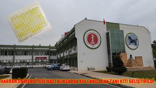 HARRAN ÜNİVERSİTESİ HASTALIKLARDA KULLANILACAK TANI KİTİ GELİŞTİRİLDİ