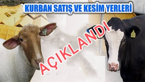 HALİLİYE’DE KURBAN SATIŞ VE KESİM YERLERİ BELİRLENDİ