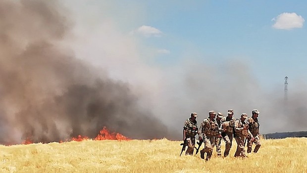 DEDAŞ GÖREVLİLERİNİN KONTROLÜ SIRASINDA TARLAYI YAKTILAR 