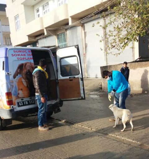 Suruç Hizmetle Tanışmaya Başladı 