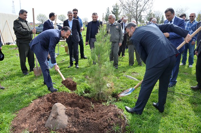 Siverek Belediyesinden Fidan Dikme Kampanyası