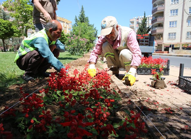 Haliliye Çiçek Bahçesine Döndü 