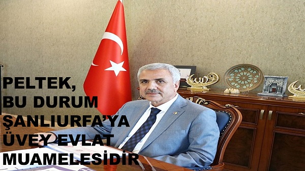 BAŞKAN PELTEK BU DURUM ŞANLIURFAYA ÜVEY EVLAT MUAMELESİDİR