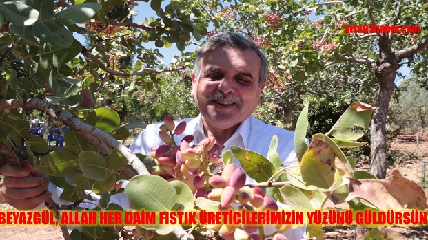 BEYAZGÜL, ALLAH HER DAİM FISTIK ÜRETİCİLERİMİZİN YÜZÜNÜ GÜLDÜRSÜN 