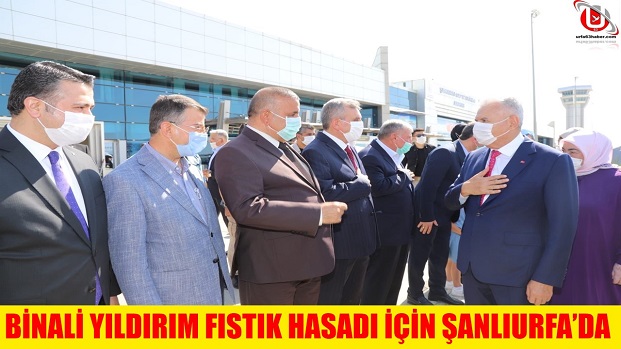 BİNALİ YILDIRIM FISTIK HASADI İÇİN ŞANLIURFADA