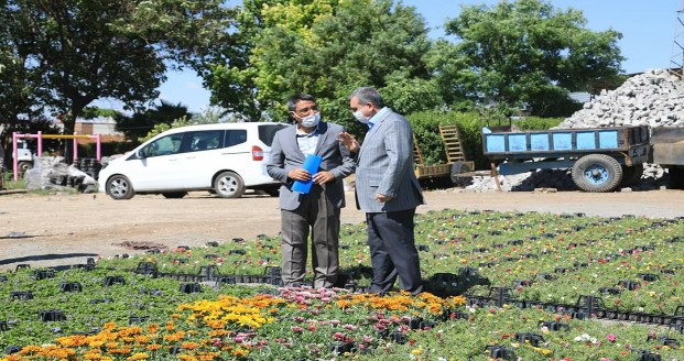 BU YIL PARK BAHÇELER RENGARENK OLACAK