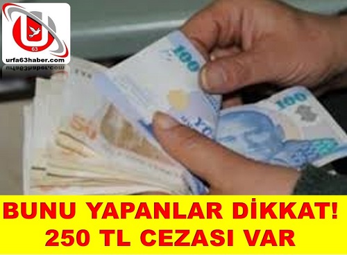 Bunu yapanlar dikkat! 250 TL cezası var