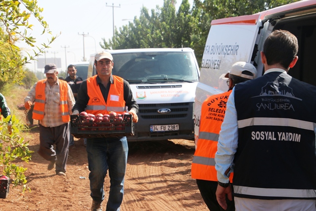 Büyükşehir'den Örnek Çalışma