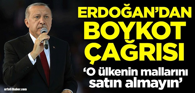 CUMHURBAŞKANI ERDOĞANDAN BOYKOT ÇAĞRISI