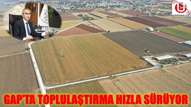 GAPTA TOPLULAŞTIRMA HIZLA SÜRÜYOR