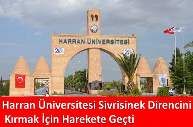 Harran Üniversitesi Sivrisinek Direncini Kırmak İçin Harekete Geçti