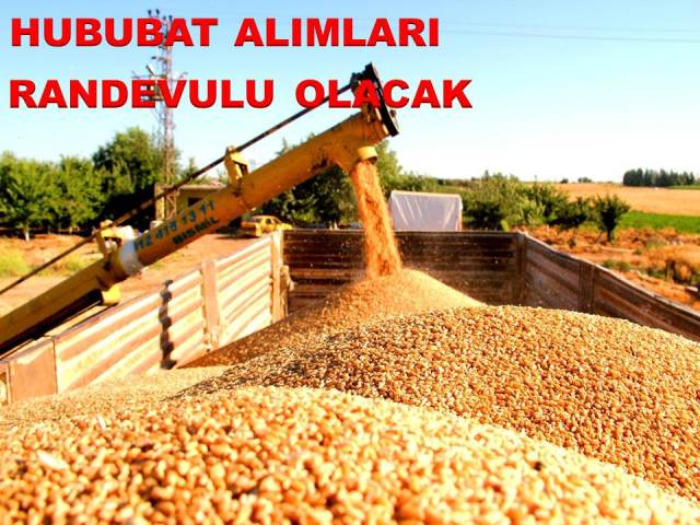 Hububat Alımları Randevulu Olacak