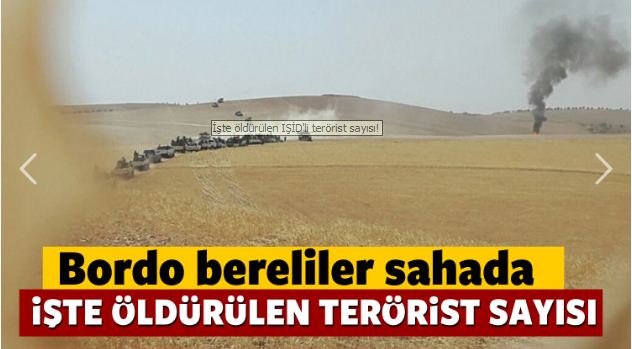 İşte öldürülen IŞİD'li terörist sayısı!