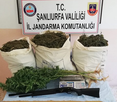 Jandarma Uyuşturucu Tacirlerine Göz Açtırmıyor