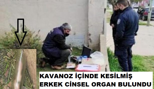 KAVANOZ İÇİNDE KESİLMİŞ ERKEK CİNSEL ORGAN BULUNDU