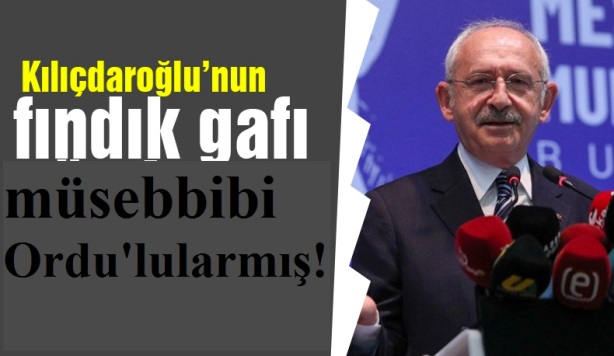 KILIÇDAROĞLU'NUN 'FINDIK' GAFI! ÖZEL 