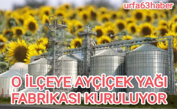 O İLÇEYE AYÇİÇEK YAĞI FABRİKASI KURULUYOR