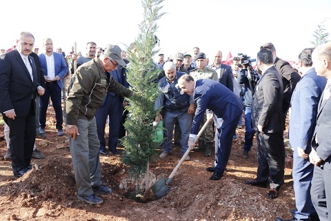 ŞANLIURFADA 450 BİN FİDAN TOPRAKLA BULUŞACAK